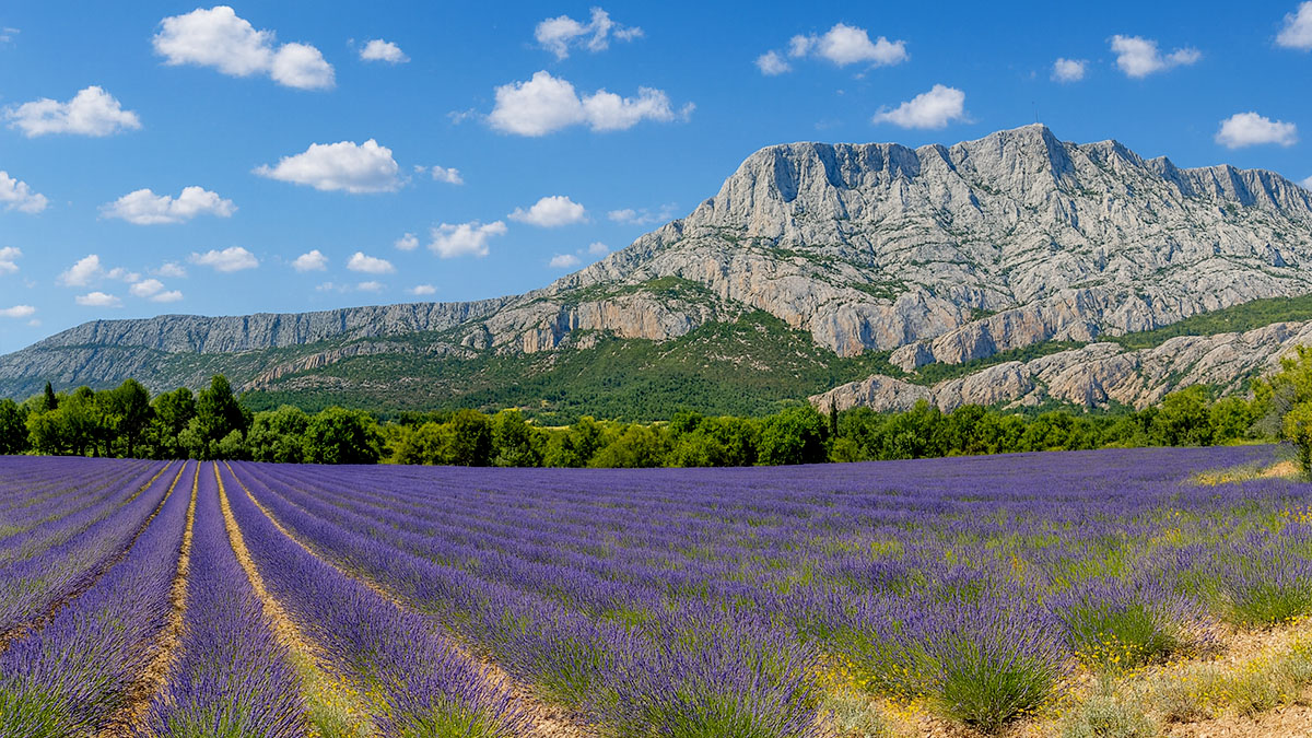 Campagne du Pays d’Aix